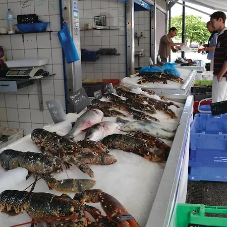 Cozy In With Wifi Senlecques