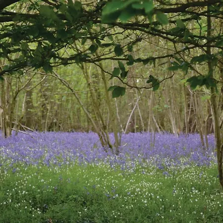 Cozy In With Wifi Prázdninový dům Senlecques