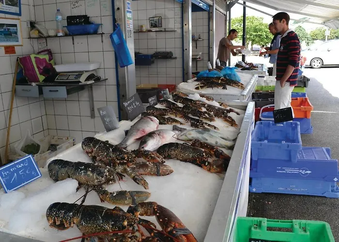 Cozy In With Wifi Senlecques