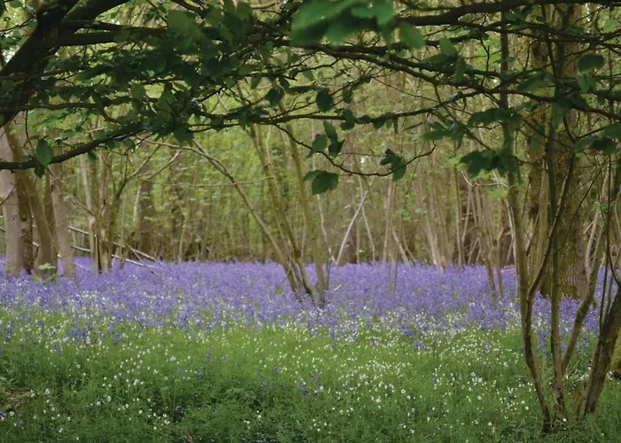 Cozy In With Wifi 펜션 Senlecques